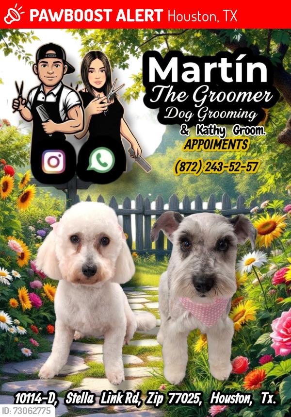 Lost Female Dog last seen Valero wespark, Houston, TX 77042