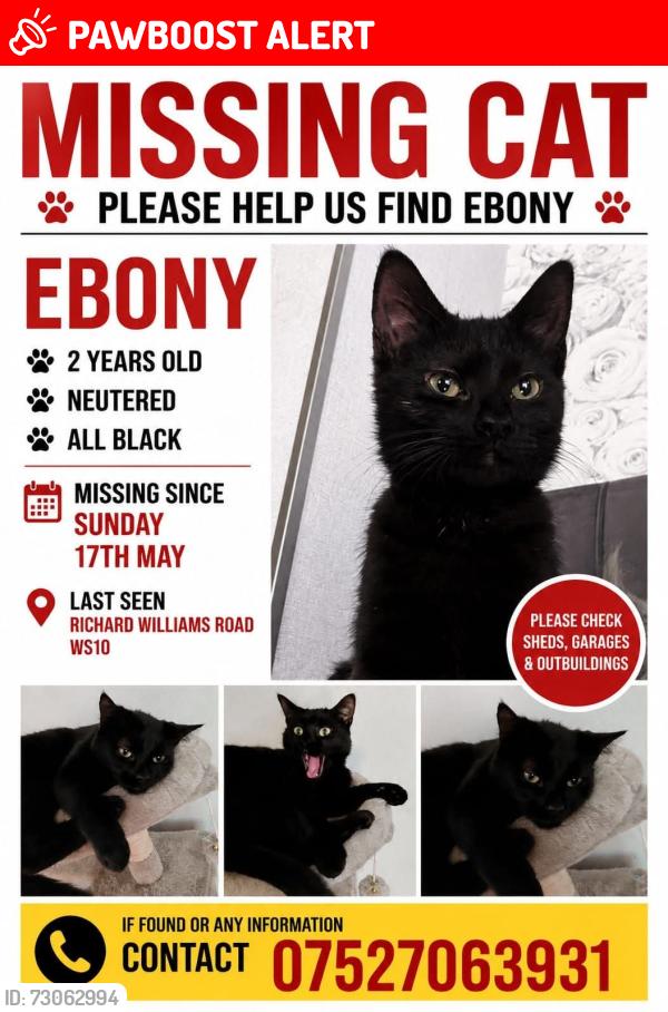 Lost Female Cat last seen Moor st/ Richard Williams rd/ kilvert rd, West Midlands, England WS10