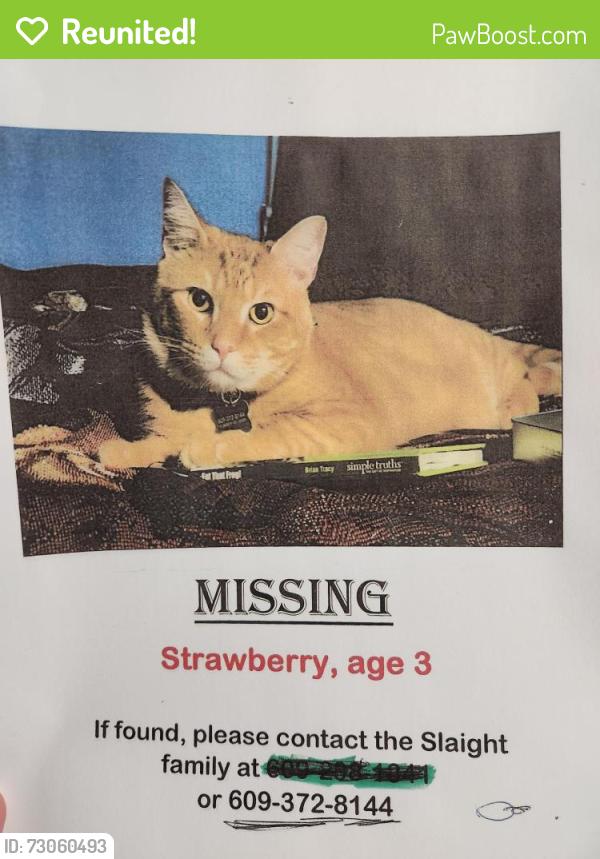 Reunited Male Cat last seen Elks in Bordentown, nj, Fieldsboro, NJ 08505