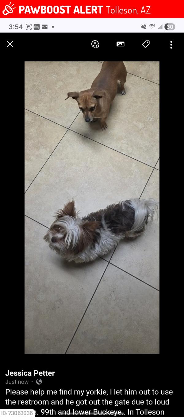 Lost Male Dog last seen 99th and lower Buckeye, Tolleson, AZ 85353
