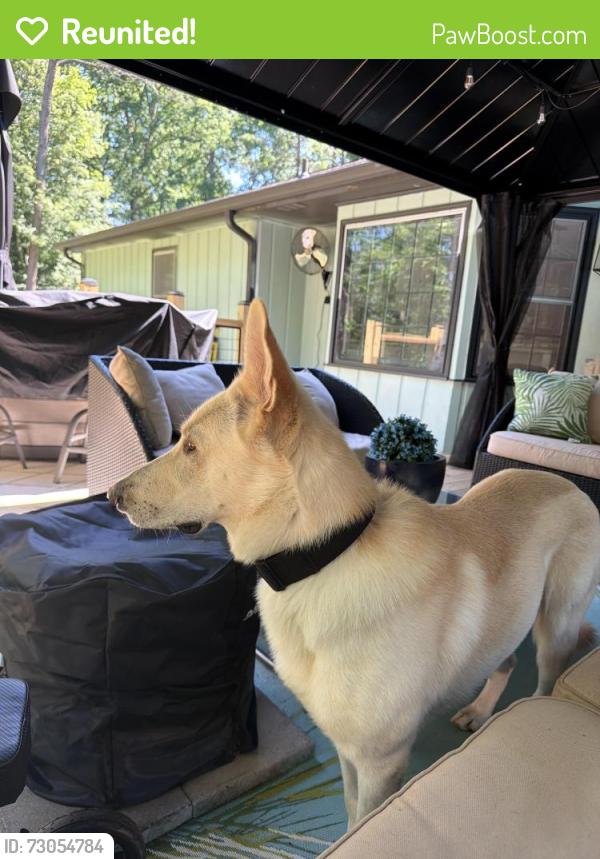 Reunited Male Dog last seen Powder Springs Rd. , Powder Springs, GA 30127