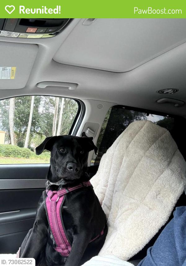 Reunited Female Dog last seen Corona Ct , The Villages, FL 32159