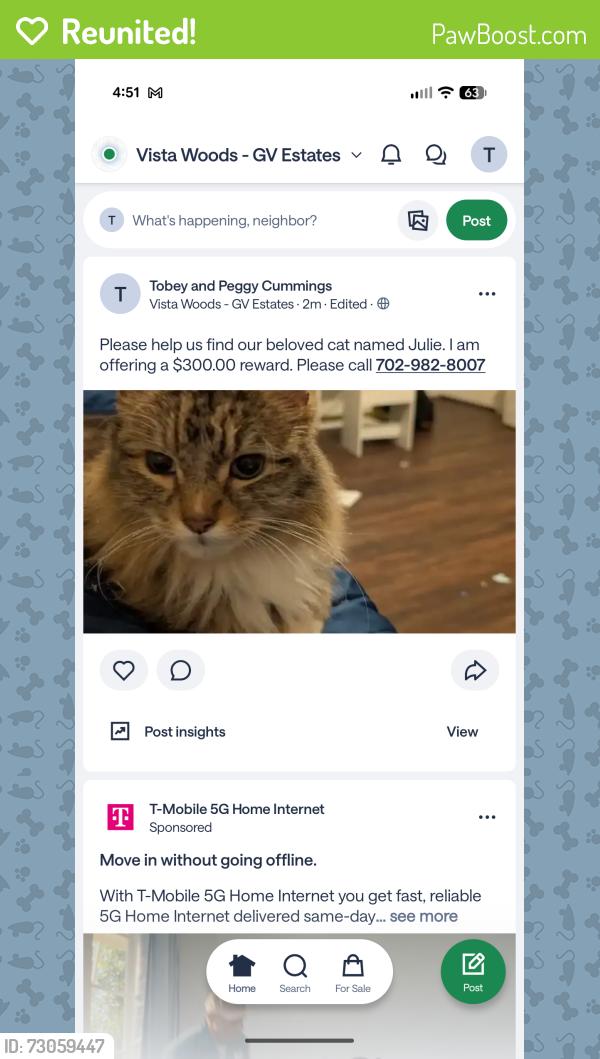 Reunited Female Cat last seen Clore Drive, Stafford, VA 22556