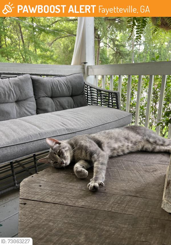 Found/Stray Male Cat last seen Rivers Rd , Fayetteville, GA 30214