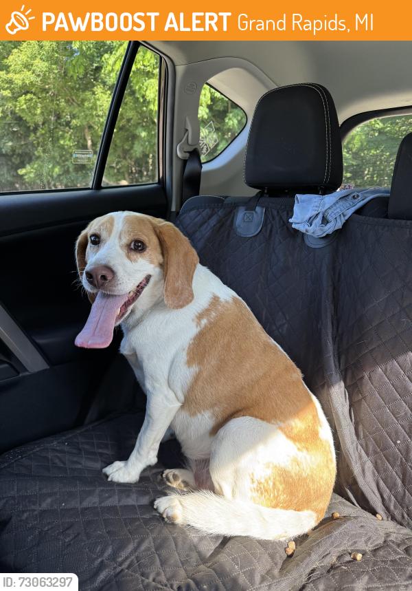 Found/Stray Female Dog last seen Ken-O-Sha Park, Grand Rapids, MI 49508