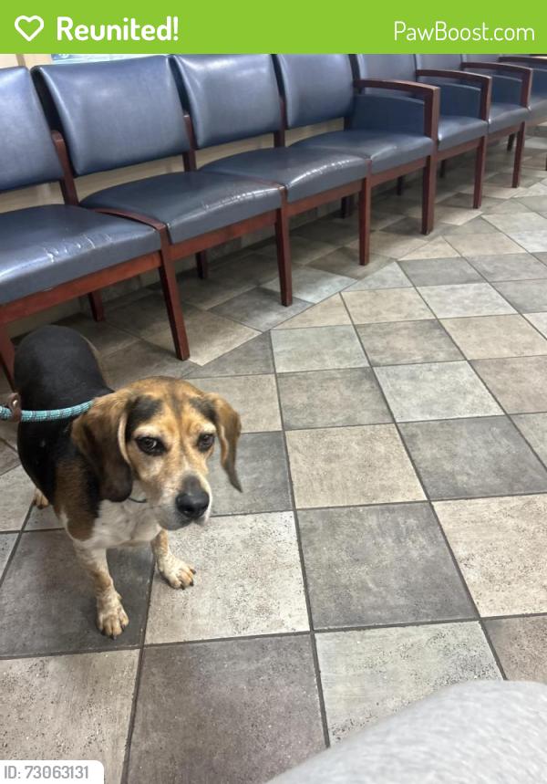Reunited Male Dog last seen Potomac Shores Barn, Cherry Hill, VA 22026
