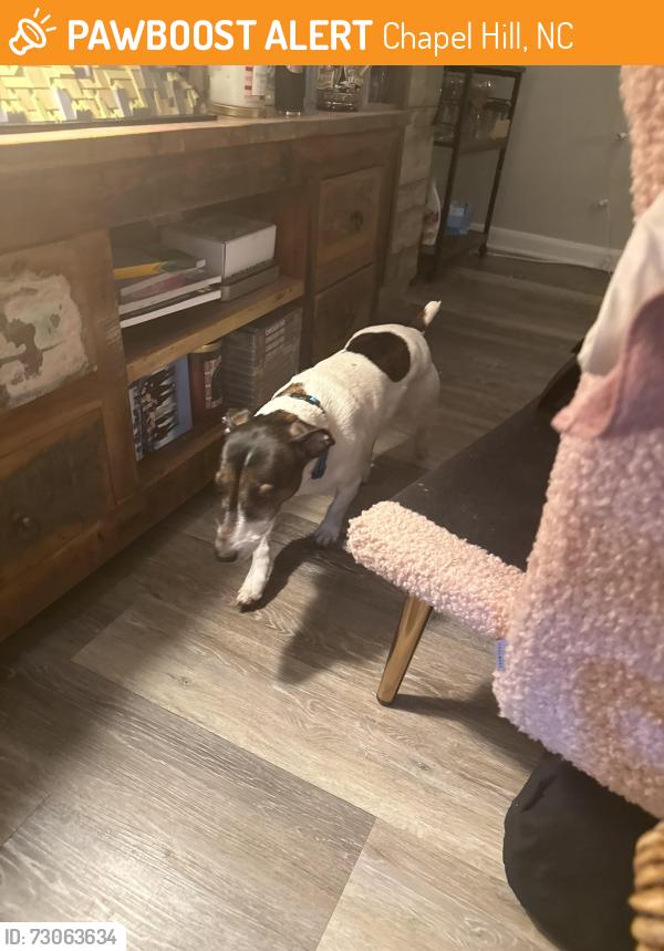 Found/Stray Male Dog last seen Shadowood apmt Complex. right behind MLK Blvd, Chapel Hill, NC 27514