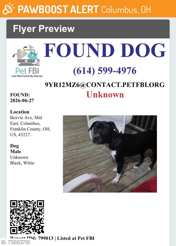 Found/Stray Male Dog last seen Bexvie Ave , Columbus, OH 43227