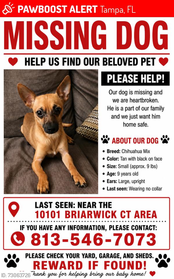 Lost Male Dog last seen Timberlane and Briarwick, Tampa, FL 33615