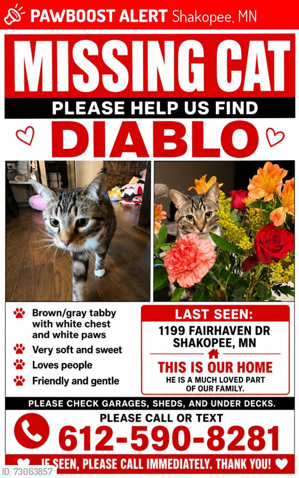 Lost Male Cat last seen Jennifer Lane, Shakopee, MN 55379