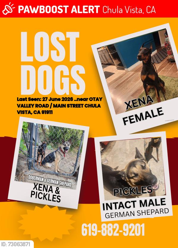 Lost Female Dog last seen Auto park/ main otay regional park, Chula Vista, CA 91911