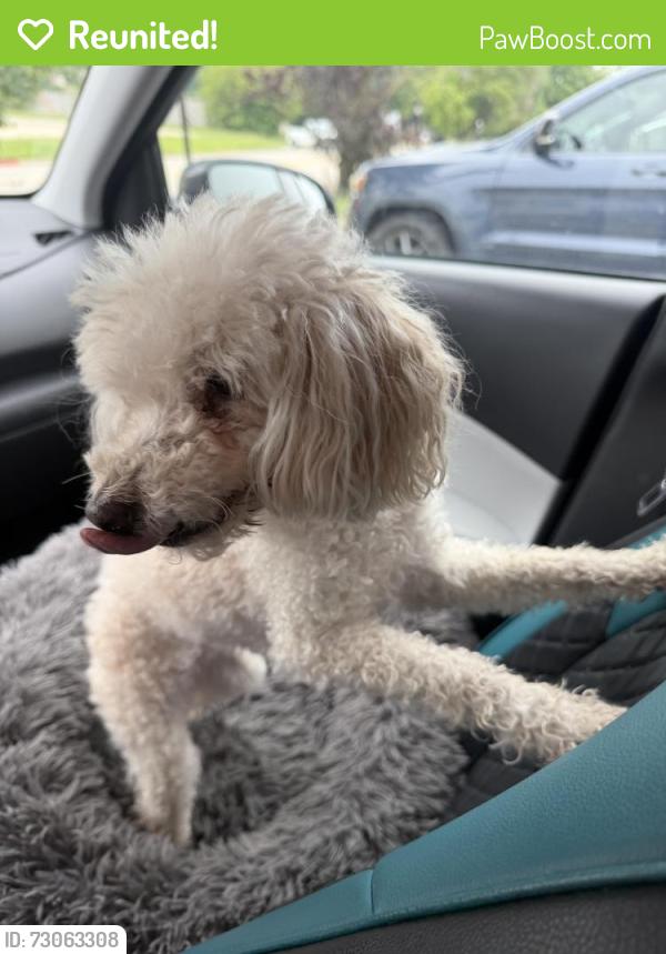 Reunited Female Dog last seen Green Acres Dr and Sycamore Dr, Morris, IL 60450