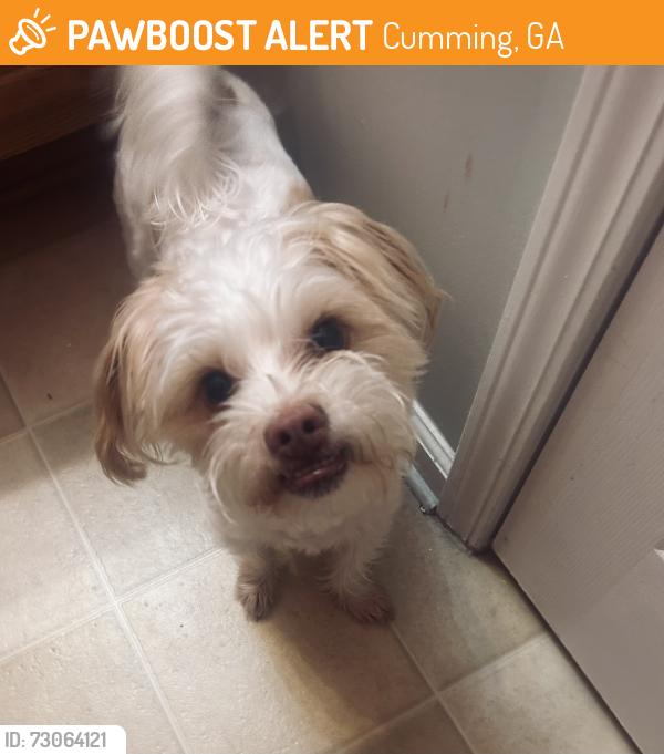 Found/Stray Male Dog last seen Fowler Park, Cumming, GA 30040