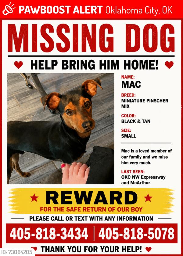 Lost Male Dog last seen Northwest Expressway and MacArthur, Oklahoma City, OK 73105