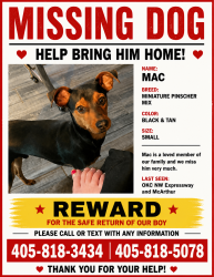 Lost Male Dog last seen Northwest Expressway and MacArthur, Oklahoma City, OK 73105