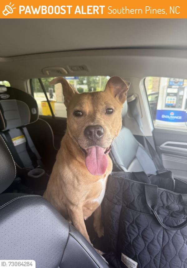 Found/Stray Female Dog last seen Exit 41 on us 1, Southern Pines, NC 28387