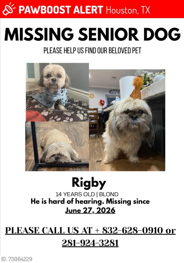 Lost Male Dog last seen Near Dillon st, Houston, TX 77061