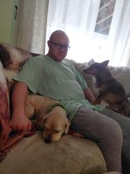 Lost Male Dog last seen Laverne dr and loralinda, Cincinnati, OH 45251
