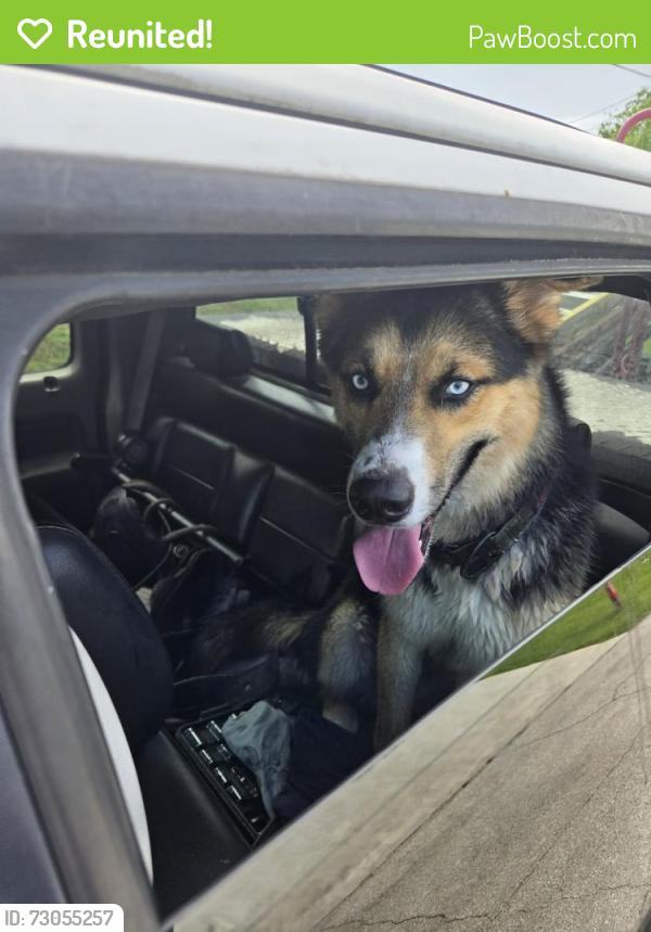 Reunited Male Dog last seen Savage , Port St. Lucie, FL 34987