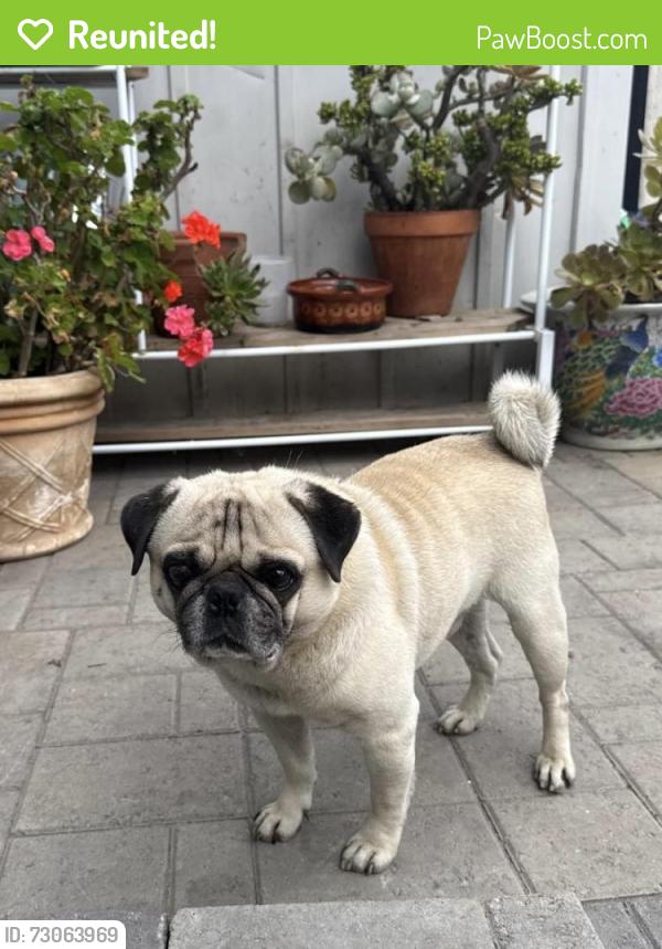 Reunited Male Dog last seen La Paz Dr 92114, San Diego, CA 92114