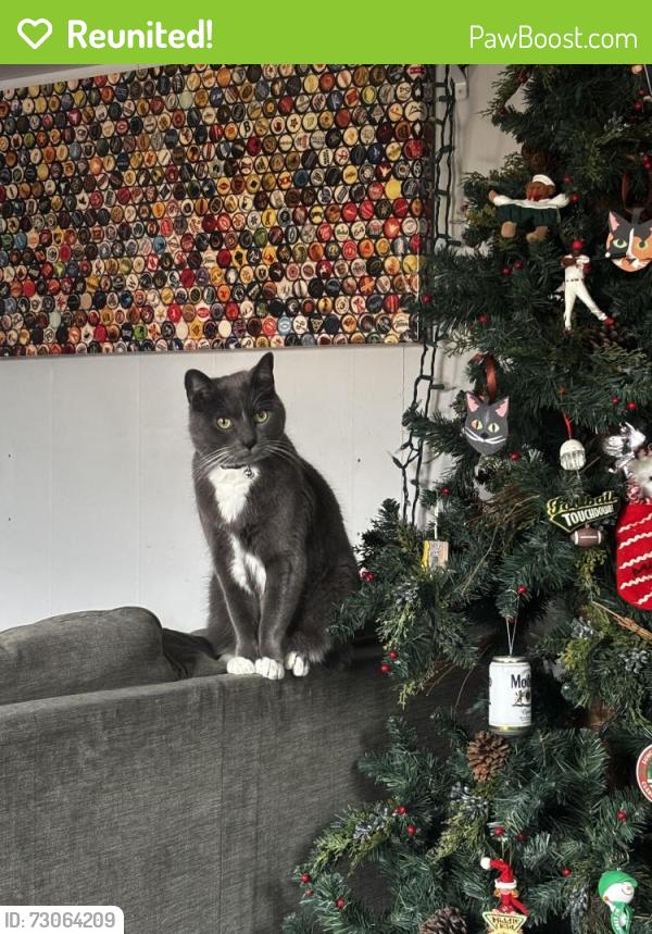 Reunited Male Cat last seen Tasker & 32nd Street, Philadelphia, PA 19145