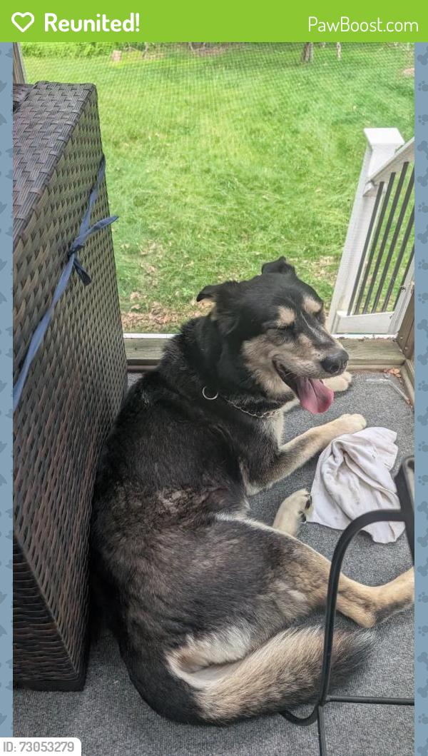 Reunited Male Dog last seen Woodlands , Pocono Woodland Lakes, PA 18337