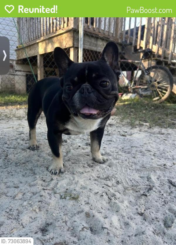 Reunited Male Dog last seen West ave , Cedartown, GA 30125