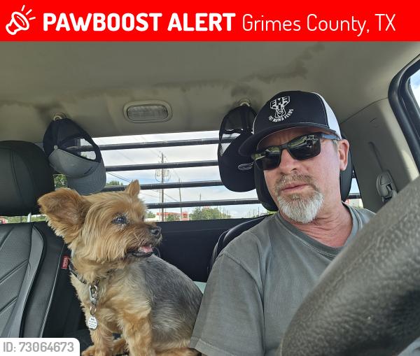Lost Female Dog last seen Fine rd, Grimes County, TX 77363