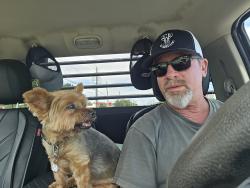 Lost Female Dog last seen Fine rd, Grimes County, TX 77363