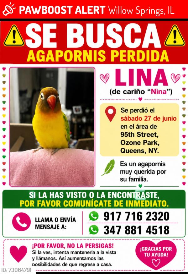 Lost Female Bird last seen Ozone park queens , Willow Springs, IL 60480