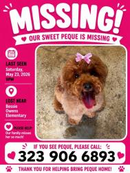 Lost Female Dog last seen Bessie Owens Elementary, Bakersfield, CA 93307
