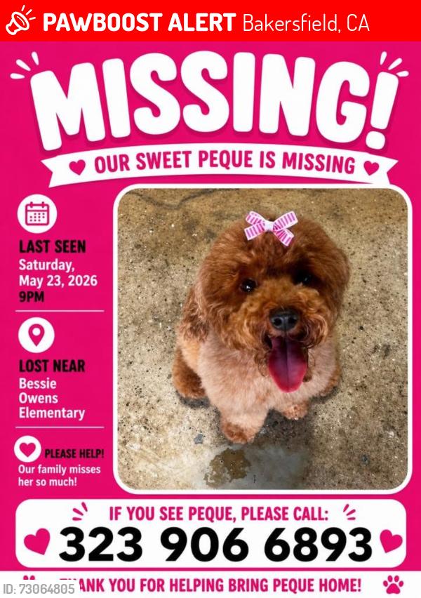 Lost Female Dog last seen Bessie Owens Elementary, Bakersfield, CA 93307