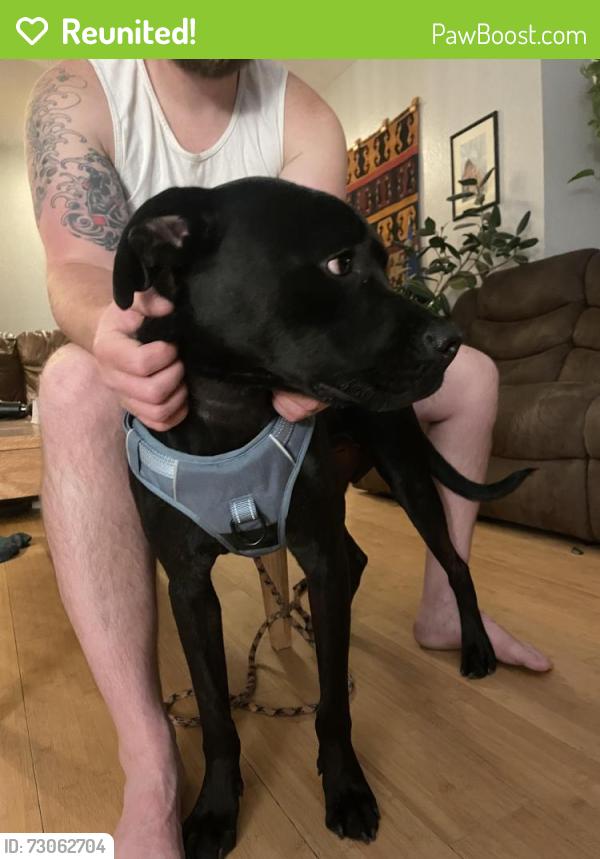 Reunited Male Dog last seen Queen way and 4th street, Sparks, NV 89431