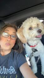 Lost Male Dog last seen Cherry, Fontana, CA 92337