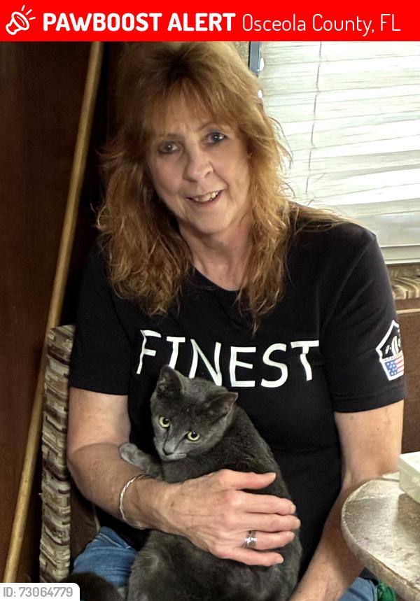 Lost Female Cat last seen Near and Griffin road in Kissimmee, Osceola County, FL 34747