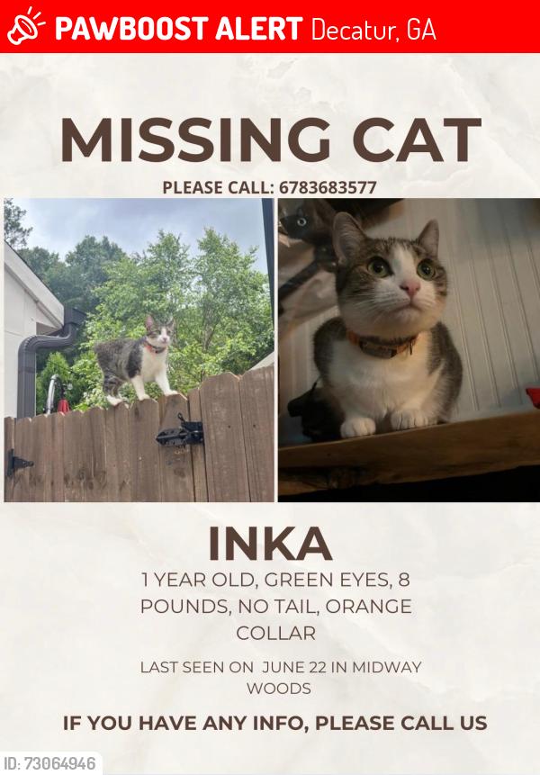 Lost Female Cat last seen Midway Woods, Decatur, GA 30030