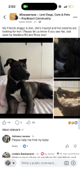 Lost Female Dog last seen Twisters, Albuquerque, NM 87108