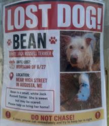 Reunited Female Dog last seen High street, Augusta, ME 04330