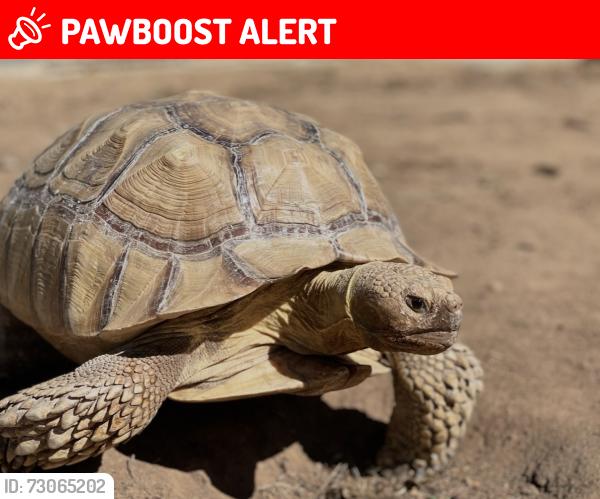 Lost Male Other last seen Seaqueat Trails, San Diego County, CA 92024