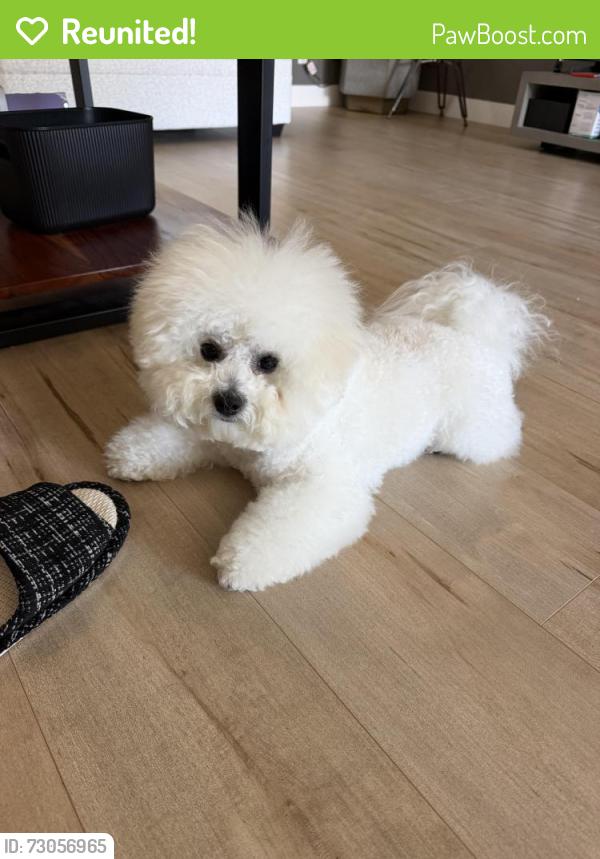Reunited Male Dog last seen Stratford Dr San Jose , Houge Park, San Jose, CA 95124