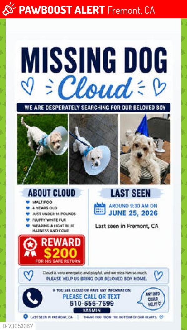 Lost Male Dog last seen Cherry Guardino, walnut, Fremont, CA 94536