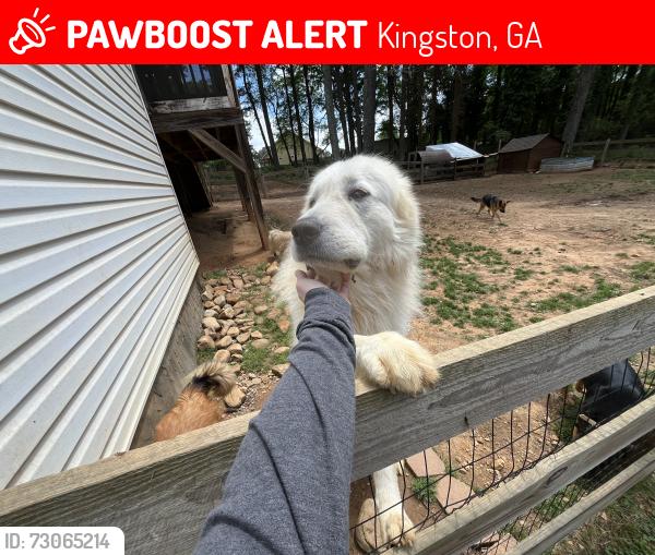Lost Male Dog last seen Kingston Georgia, Kingston, GA 30145