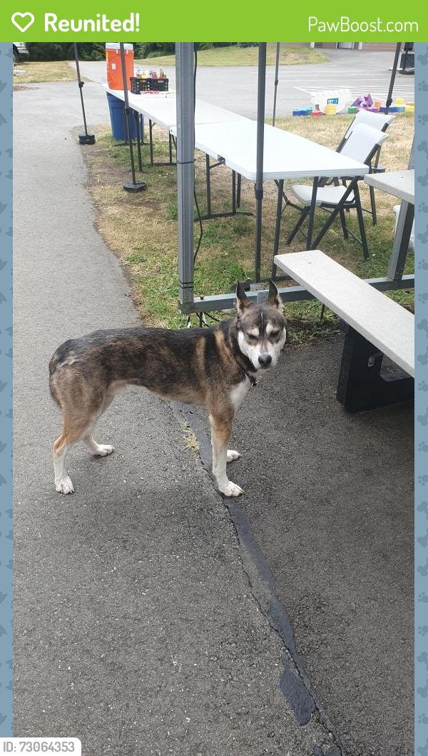 Reunited Male Dog last seen Beausite camp, Jefferson County, WA 98325