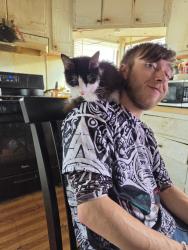 Lost Female Cat last seen Uphill of 124 Overlook Drive, Parsons, WV 26287