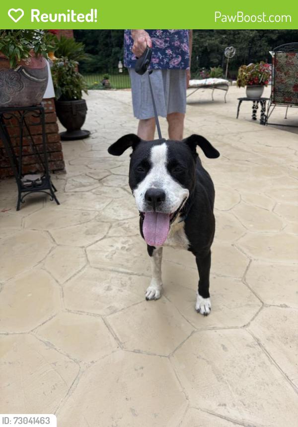 Reunited Female Dog last seen Cassville Road, Cassville, GA 30121