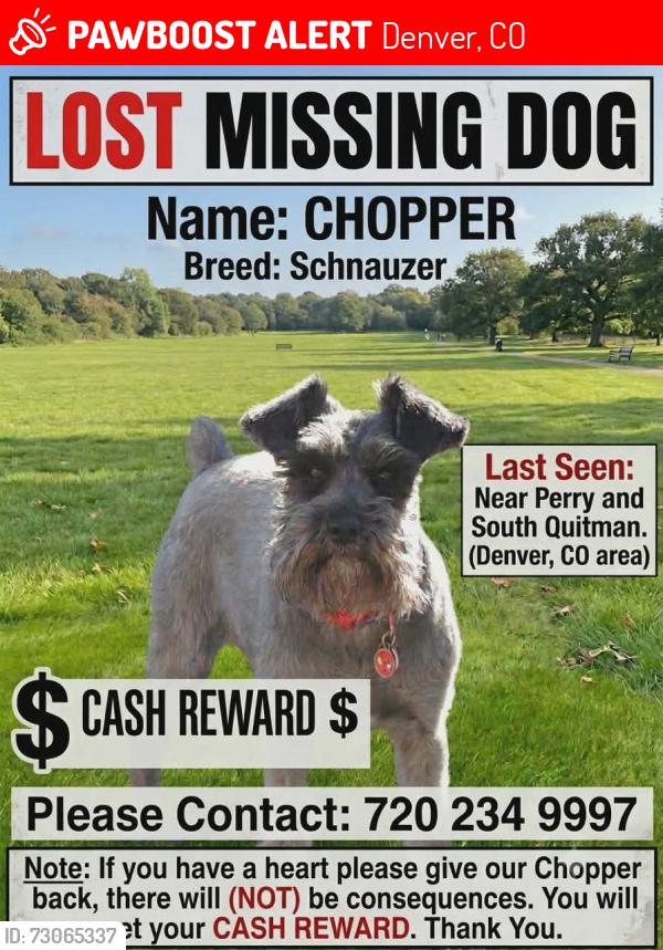 Lost Male Dog last seen S Quitman St Denver CO 80219, Denver, CO 80219