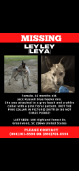 Lost Female Dog last seen Cindy’s Restaurant, Greenwood, SC 29646