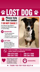 Reunited Female Dog last seen West Carmel valley Rd, Carmel Valley, CA 93924