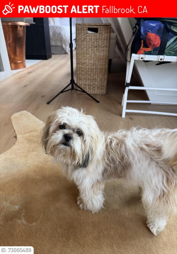 Lost Male Dog last seen Rolling Hills neighborhood, Fallbrook, CA 92028