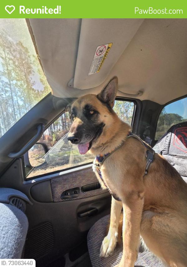 Reunited Female Dog last seen Ralph Rd and Fish Hatchery, Lakeland, FL 33801